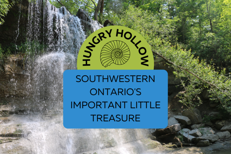 Waterfall over layers of brown rock with greenery in the background. Over the waterfall text reads "Hungry Hollow Southwestern Ontario's Important Little Treasure" with a drawing of a shell.