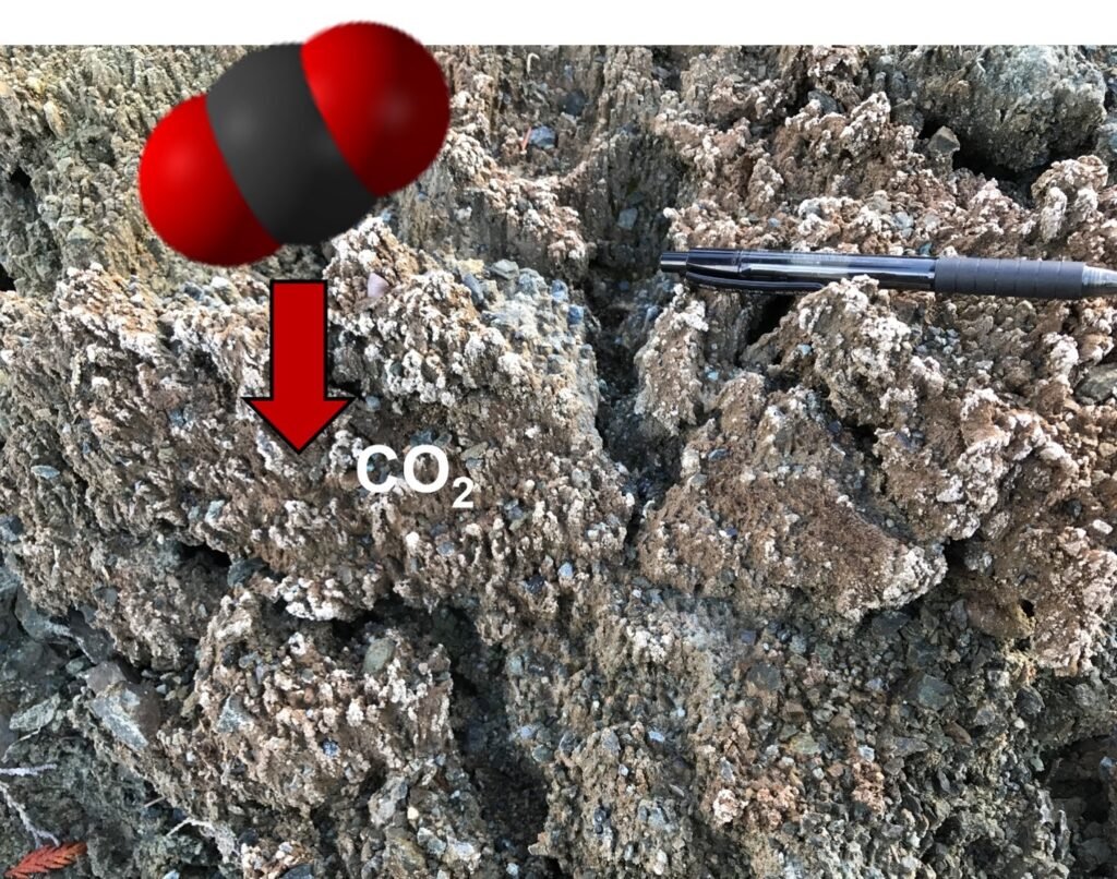 Grey rocks with a white carbonate overtop. Graphic of a CO2 molecule with an arrow pointing to the white carbonate. A pen lies on the rocks for size. 
