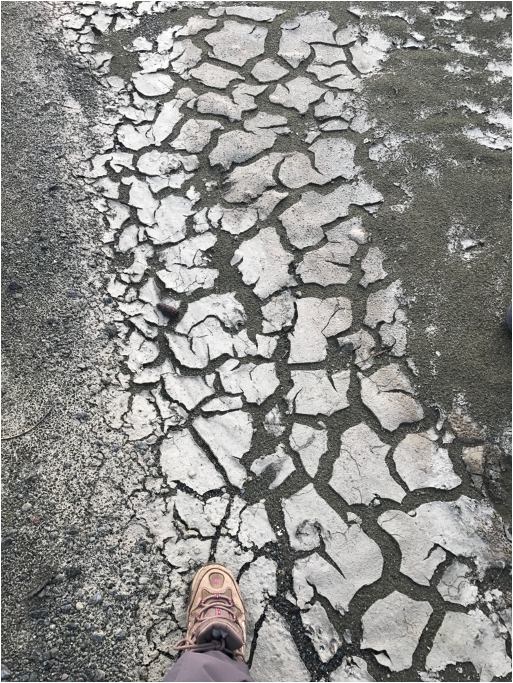 Grey rocks with cracked white carbonate overtop. In the bottom left corner someone's shoe can be seen standing on the rocks.