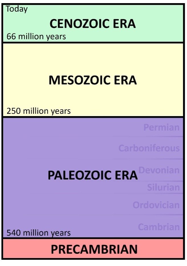 Geologic timeline showing the Cenozoic, mesozoic, plaeozoic and precambrian eras