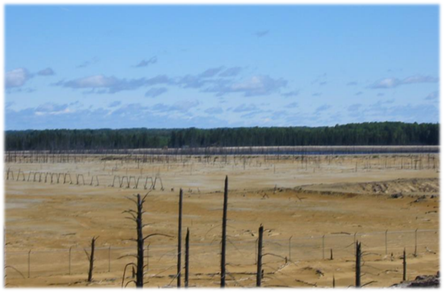 Dry tailings. looks like a brown field with dead trees.