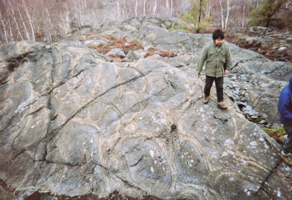 Cam standing in the distance on a large rock outcrop. The rocks are grey with oval-shaped lines. 