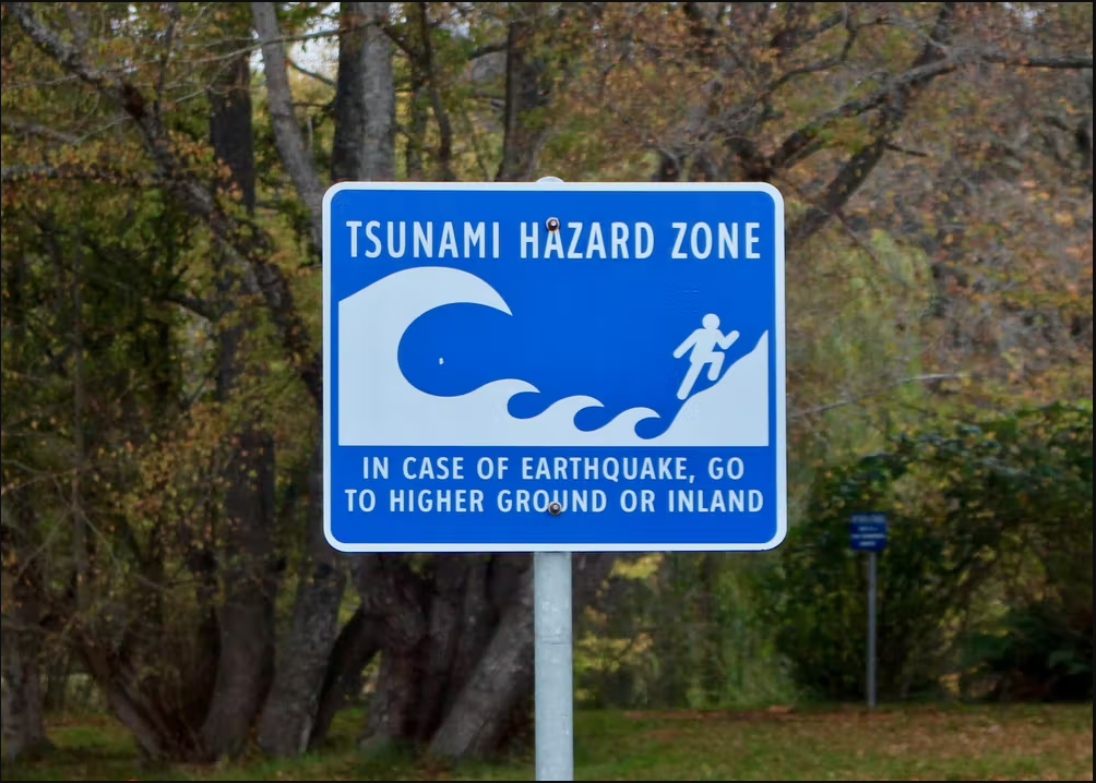 Blue sign in a forest. Text on the sign reads: "Tsunami Hazard Zone In case of Earthquake go to higher ground or inland."