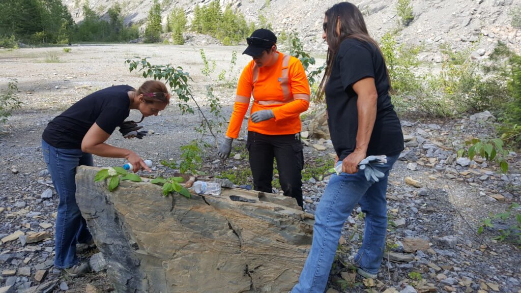 Three people examining a large rock. The person on the left is pointing at a leaf on the rock. The person in the middle is wearing an orange reflective vest and looking down. The person on the right is wearing a black tshirt and has their back to the camera.