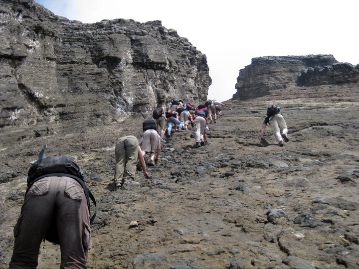 A line of people climbing up a steep cliff on their hands and knees.