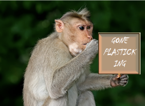 A monkey holds a sign reading "gone plasticking"