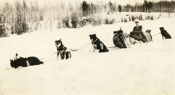 Black and white photo of Kate Rice with her dogsled team