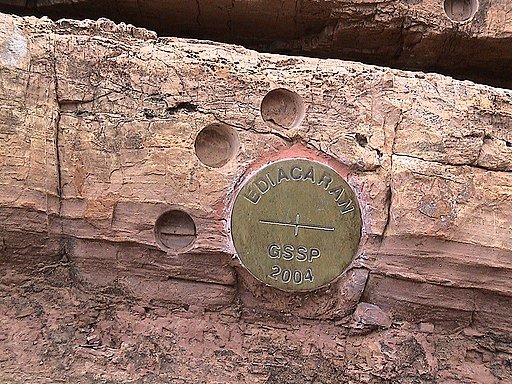 The head of a golden spike can be seen flush in a red rock. On the spike it says "Ediacaran GSSP 2004"