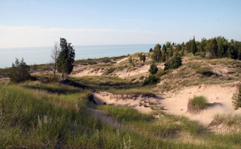 View of sandy dunes with grasses and shrubs. There is water in the distance.