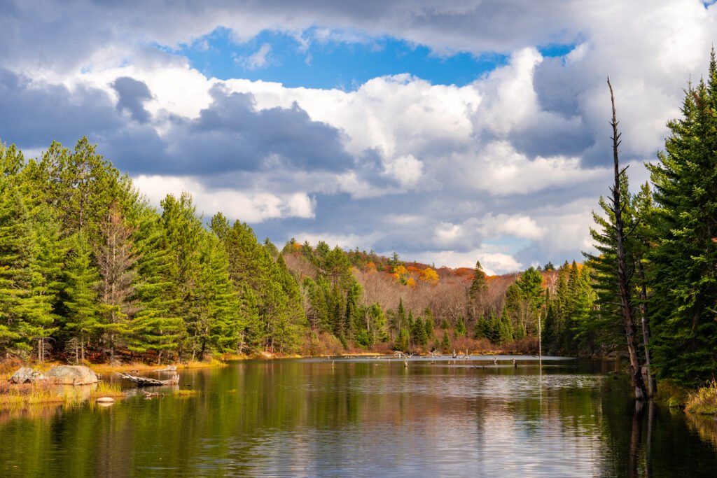 A dark water late reflecting pine trees and a blue sky with clouds above