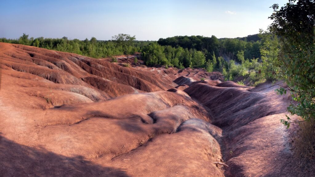 Landscape overlooking red rolling rocks and green trees in the background