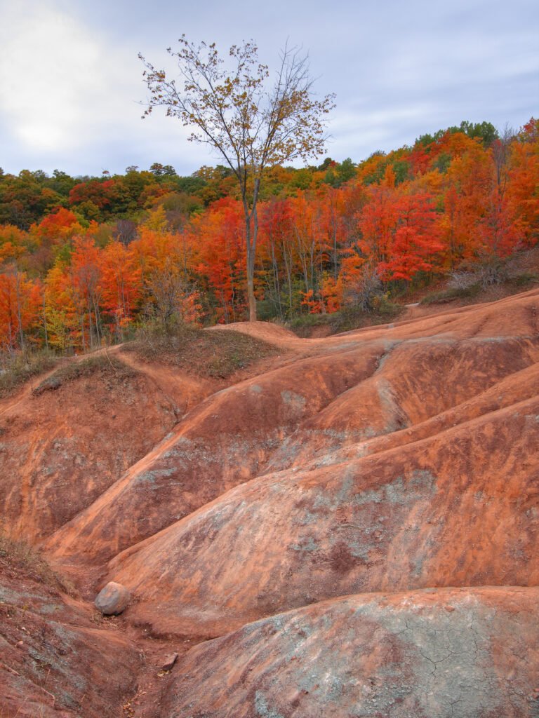 Cheltenham badlands in the fall with red rolling rocks in the foreground and red trees in the background