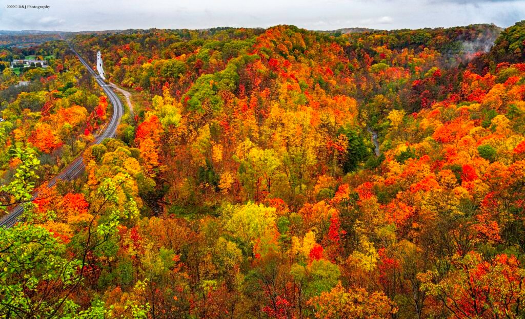 Lookout over a colourful forest