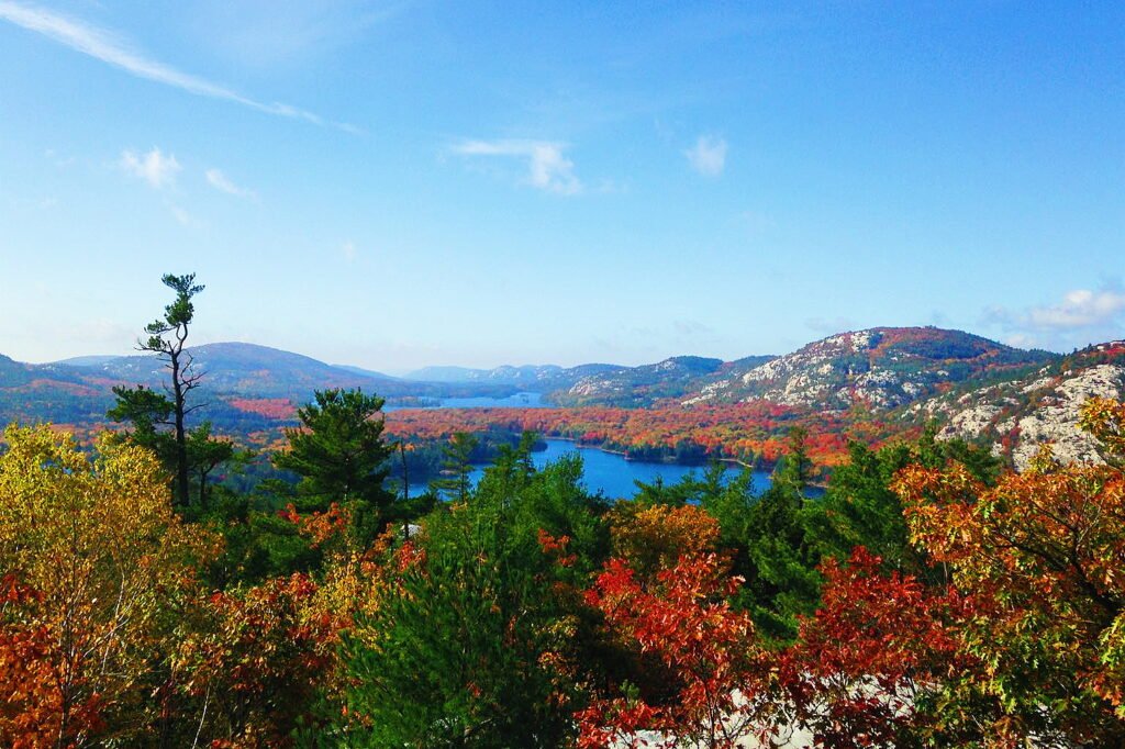 View overlooking Killarney provincial park in the fall with red, orange and green trees.