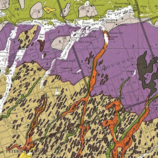 A geologic map showing different coloured rock units.