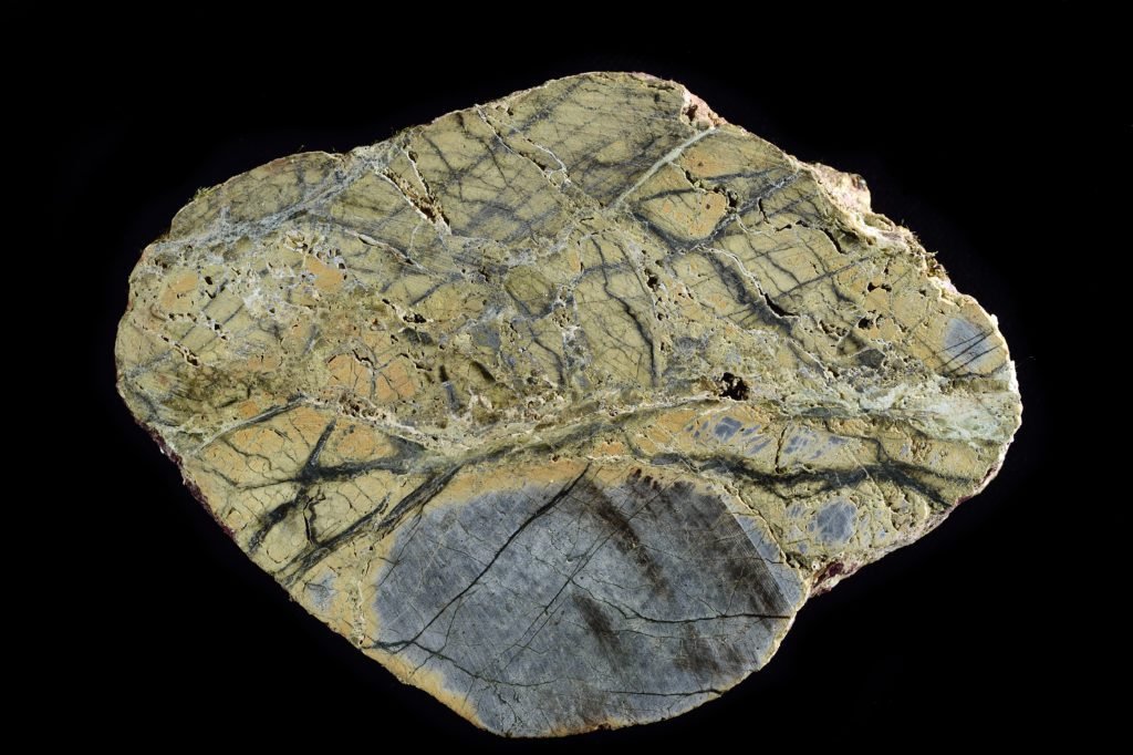 A slice of beige-grey rock with a large black spot.